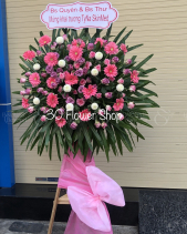 Kh-495 - belovedbeyond.com