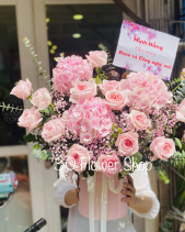 Gh-540 - belovedbeyond.com