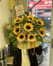 Gh-538 - belovedbeyond.com