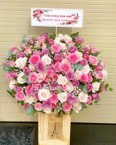 Gh-531 - belovedbeyond.com