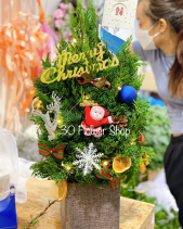 T-07 - belovedbeyond.com