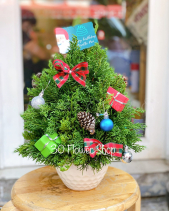 T-06 - belovedbeyond.com