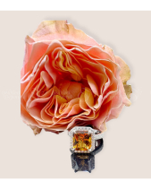 Nhẫn Bạc Thiết Kế Chu Charm - belovedbeyond.com