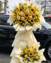 Hoa Khai Trương - Phú Quý 120 - belovedbeyond.com