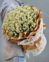 Bó Hoa Cúc Tana Ms 2045 - belovedbeyond.com