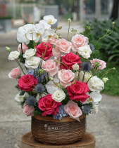 Giỏ Hoa Mix Hồng Ecuador, Và Ohara Nhập Ms 3277 - belovedbeyond.com