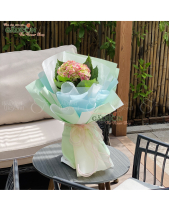 Bó Hoa Tú Cầu - belovedbeyond.com