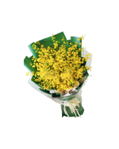 Sunlight - belovedbeyond.com