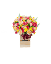 Hương Mùa Hè - belovedbeyond.com