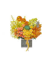 Sức Sống - belovedbeyond.com