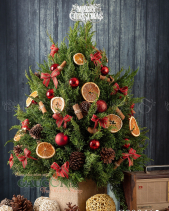 Sơn Tùng Cắt Cành Cắm Tạo Hình Cây Thông - belovedbeyond.com