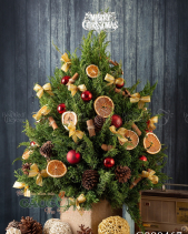 Sơn Tùng Cắt Cành Cắm Tạo Hình Cây Thông - belovedbeyond.com