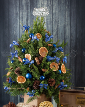 G000464 - belovedbeyond.com