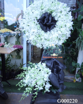 G000220 - belovedbeyond.com