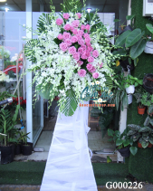 G000226 - belovedbeyond.com