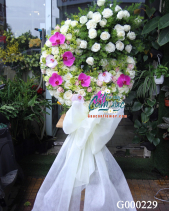 G000229 - belovedbeyond.com