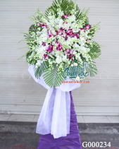 G000234 - belovedbeyond.com