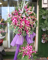 G000204 - belovedbeyond.com