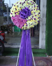 G000210 - belovedbeyond.com