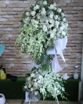 G000224 - belovedbeyond.com