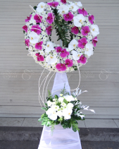 G000231 - belovedbeyond.com