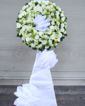 G000232 - belovedbeyond.com