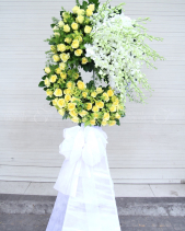 G000236 - belovedbeyond.com