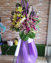 G000249 - belovedbeyond.com