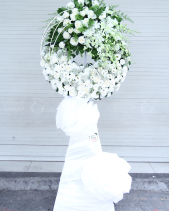 G000250 - belovedbeyond.com