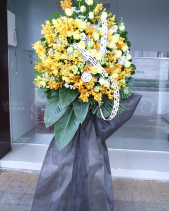 G000262 - belovedbeyond.com