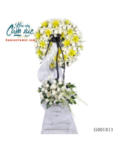 G001813 - belovedbeyond.com