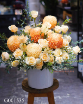 G001535 - belovedbeyond.com