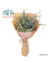 Hương Đồng Nội - belovedbeyond.com
