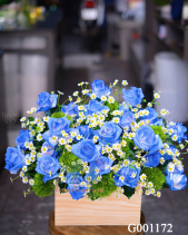 G001172 - belovedbeyond.com