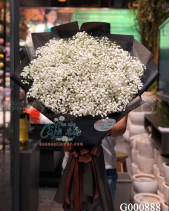 G000888 - belovedbeyond.com