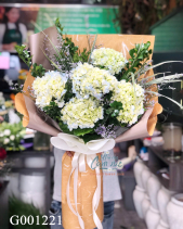 G001221 - belovedbeyond.com