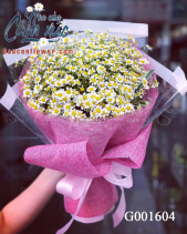 Hoa Cúc Tana G001604 - belovedbeyond.com