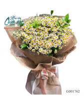 G001762 - belovedbeyond.com