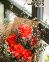 Hoa Sinh Viên - belovedbeyond.com
