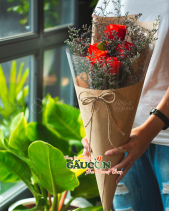Hoa Sinh Viên - belovedbeyond.com
