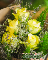 Hoa Sinh Viên - belovedbeyond.com