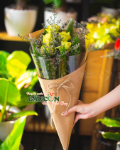 Hoa Sinh Viên - belovedbeyond.com