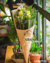 Hoa Sinh Viên - belovedbeyond.com