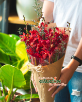 Hoa Sinh Viên - belovedbeyond.com