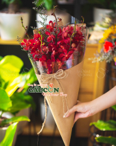 Hoa Sinh Viên - belovedbeyond.com