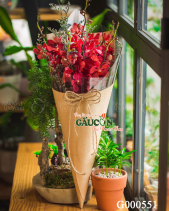 Hoa Sinh Viên - belovedbeyond.com