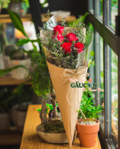 Hoa Sinh Viên - belovedbeyond.com