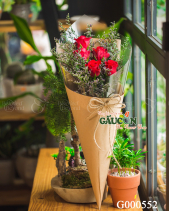 Hoa Sinh Viên - belovedbeyond.com