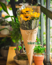 Hoa Sinh Viên - belovedbeyond.com