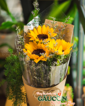 Hoa Sinh Viên - belovedbeyond.com